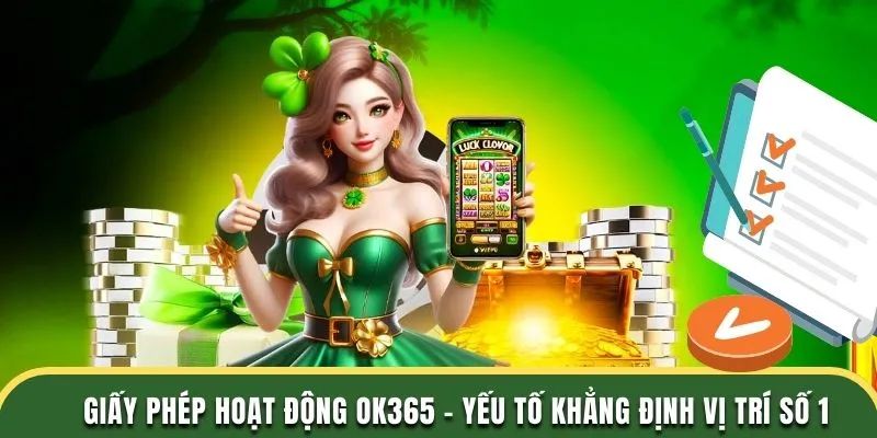 Các loại giấy phép hoạt động OK365 quan trọng nhất
