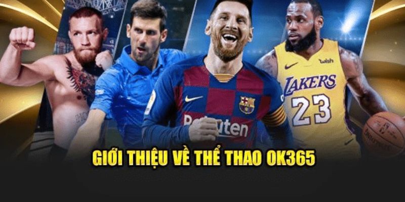 Thể thao ok365 mang tới hàng loạt trải nghiệm ấn tượng